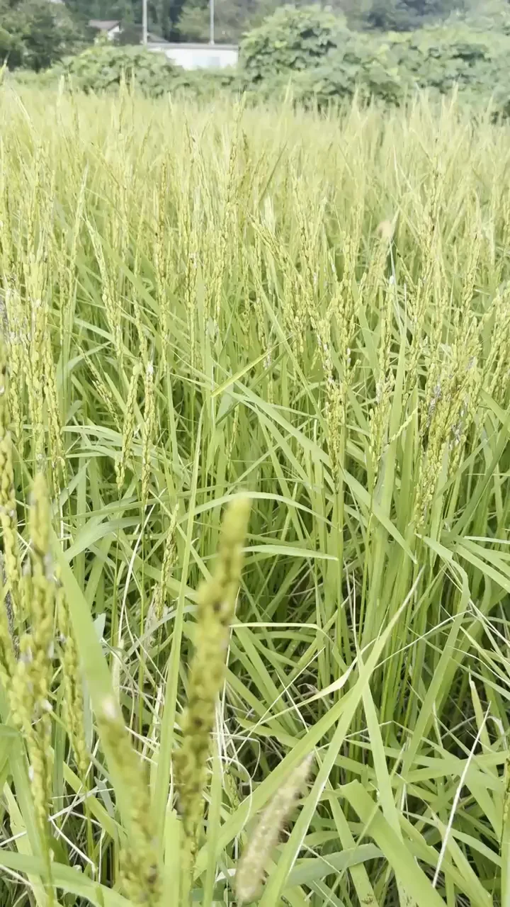 天气看起来还不错呢～！
明天就拜托您了☺️